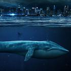 300支后摇乐队，300种感性共鸣